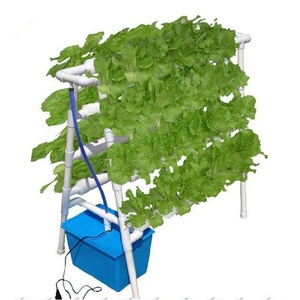 Système de culture hydroponique <span class=keywords><strong>industrielle</strong></span> de haute qualité avec tuyaux PVC NFT pour la culture de légumes - Product Image 2