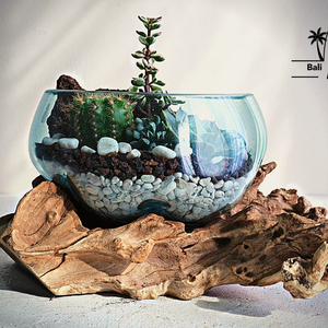 Vente en gros kit de terrarium fermé moderne avec conteneurs pour plantes Vase de table Jardin Culture Plante d'intérieur Base en béton Verre <span class=keywords><strong>Terra</strong></span> - Product Image 2
