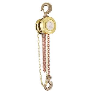 Palan à chaîne de plate-forme pétrolière de dispositif de levage anti-déflagrant de haute qualité de 10 tonnes - Product Image 5