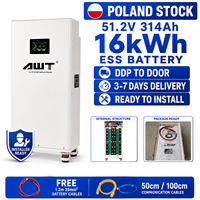 Batterie de stockage d'énergie solaire domestique 51,2 V 314 Ah 16 kWh avec disjoncteur 250 A et kit de câbles gratuit – Stock UE