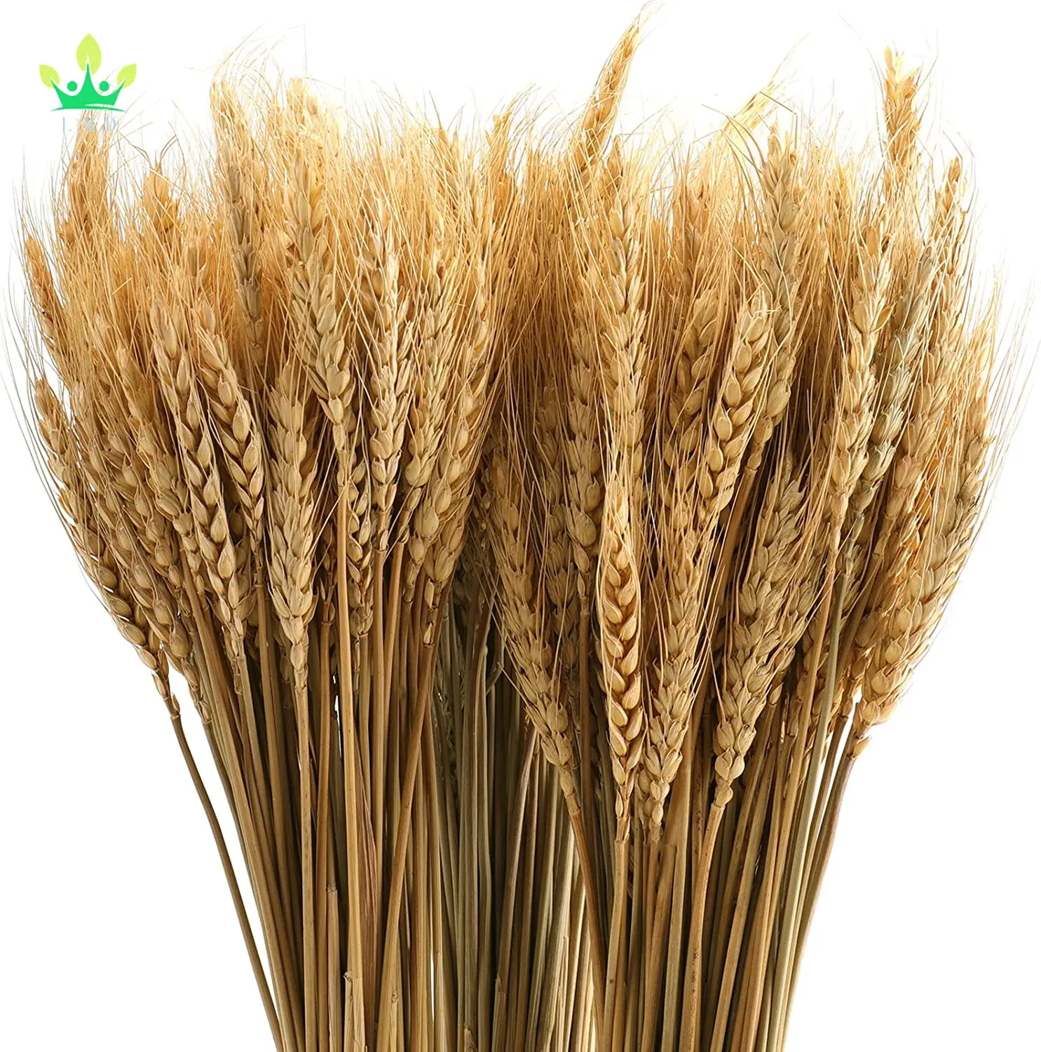 Artificial Dried Wheat Sheaves Natural Wheat Stalks Bundle Fall Arrangement for DIY Craft Home Table Wedding Decor