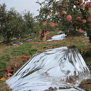 Китайский производитель сельскохозяйственных пластмассовых изделий-черный поверх серебристый завод PE Мульч пленка - Product Image 2