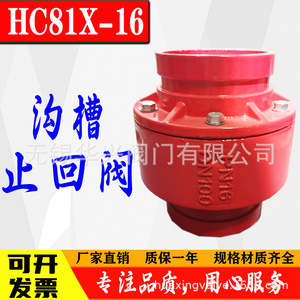 วาล์วกันกลับแบบเงียบ Hc81x 16 ทำจากเหล็กหล่อแบบมีร่อง ขนาด Dn100 สำหรับระบบท่อน้ำ ป้องกันการไหลย้อนกลับ - Product Image 5