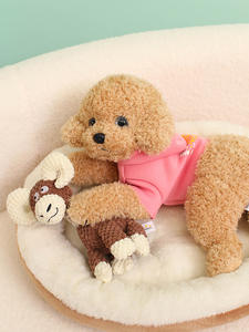 Juguetes de Peluche para Perros de Primera Calidad, Colección del Fabricante de Juguetes de Peluche con Sonido, Rellenos de Algodón PP - Product Image 4