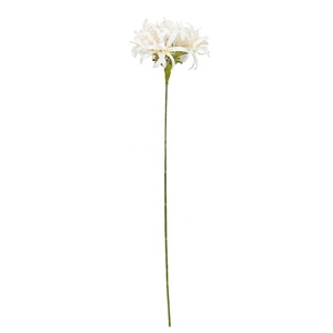 ก้านดอกอะกาแพนธัสปลอมยาว 80 ซม. สำหรับตกแต่ง สัมผัสเหมือนจริง - Product Image 6