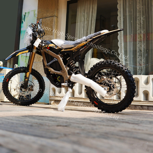 Motocicleta Todoterreno Ultra Potente de 24.5kW, 74V 60Ah con Batería Extraíble, Venta al Por Mayor - Product Image 1
