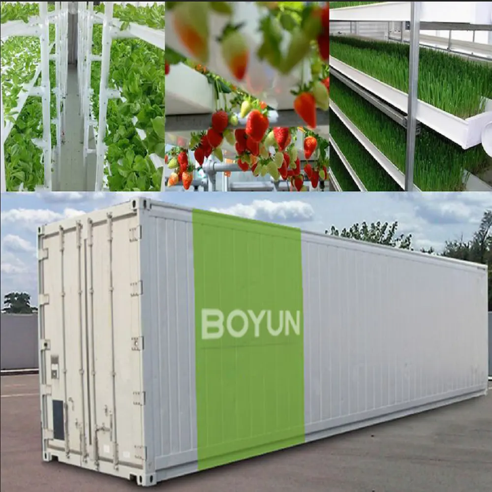BOYUN Вертикальная посадочная ферма cantainer доставка контейнер гидропонная ферма