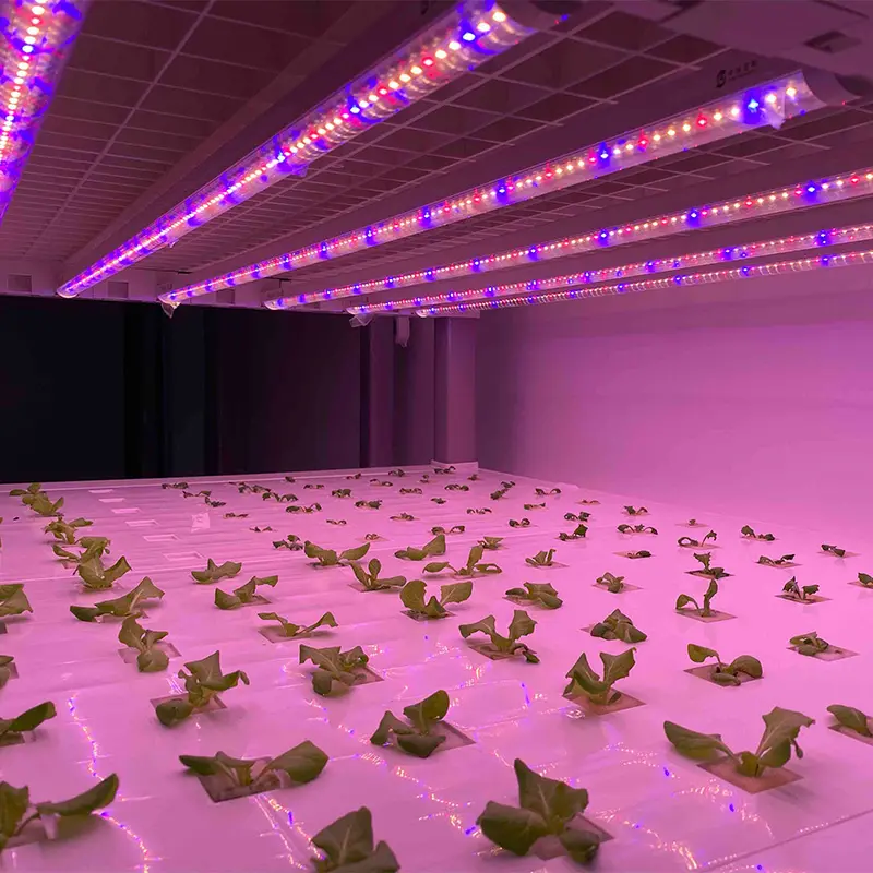 LEDグローライト温室水耕栽培屋内植物フルスペクトルLED屋内植物用グローライト