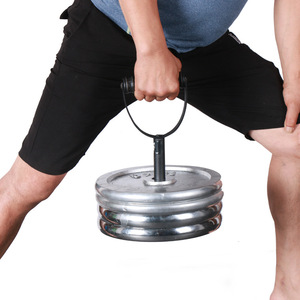Kettlebell 3-en-1, support de rangement pour plaques de poids réglables, poignées de fitness, entraîneur de deltoides, haltères pour l'entraînement - Product Image 1