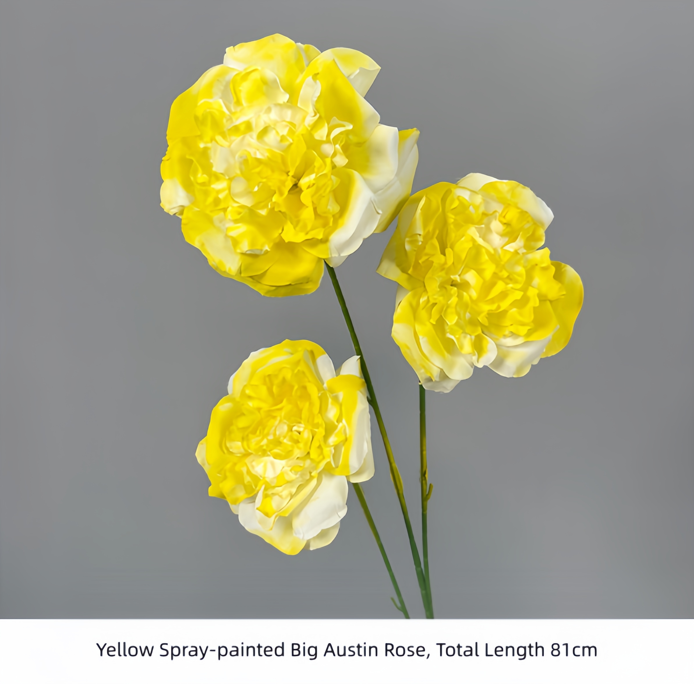 Yellow Spray-painted Big Austin Rose