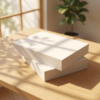 Papier A4 – Meilleur Prix – Promotion – Papier Copie Double A Format A4 80 g/m² 500 Feuilles 1 Ramette pour Bureau et Carton