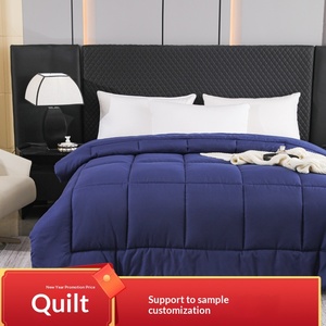 Cross-border for for US <strong>Duvet</strong> Insert <strong>Feather</strong> Velvet Filling Kapok Material All-Season <strong>Single</strong> Piece Exclusive Foreign Trade - Product Image 2