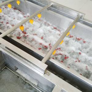 Ligne de traitement des légumes TEKFOOD, lavage et découpe du chou, laveuse à brosses pour carottes, machine de lavage et de nettoyage des tomates à vendre - Product Image 2