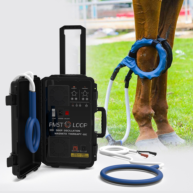 Hot in Europe Electro Magnetic Wave Therapy Machine for Horses Pemf Loop Pain Reduction Magnetic Therapy Devices Horse