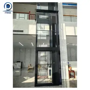 Orient Factory Seller Home Screw Drive Elevator Professional Supplier Residential Elevator Small Home Lift Home Elevators