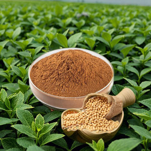 Suplemen kesehatan ekstrak kedelai alami bubuk <span class=keywords><strong>Isoflavone</strong></span> kedelai <span class=keywords><strong>40%</strong></span> <span class=keywords><strong>Isoflavone</strong></span> - Product Image 2