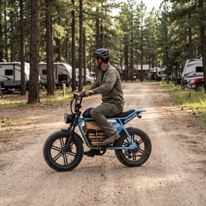 Vélo électrique à 7 vitesses avec pneus de 4 pouces, vélo électrique pour voyages en camping-car et en tout-terrain - Product Image 5