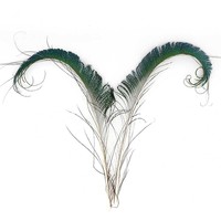 Plumes de paon naturelles de haute qualité, artisanales, 30-40 cm, vente directe d'usine, pour décoration DIY, accessoires vestimentaires de carnaval, brutes