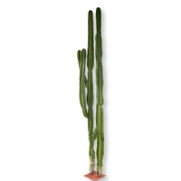 Grand Cactus de 3.2 mètres de haut, plante du désert avec haute simulation et sensation tactile réaliste, pilier immortel