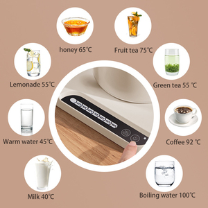 Hervidor de té y café eléctrico de cuello de cisne de acero inoxidable de 1.0L, diseño clásico, olla para electrodomésticos para uso doméstico de café - Product Image 5