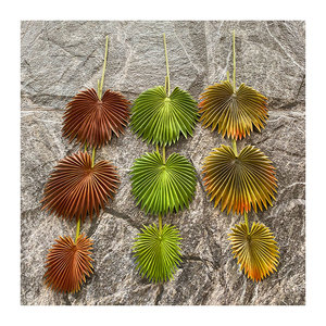 พัดลมเดี่ยวผลิตจาก Pu,พัดลมผลิตจากพลาสติกเทียมทันสมัย - Product Image 6