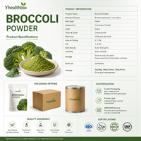 Poudre de brocoli pure naturelle séchée par atomisation, ingrédient alimentaire quotidien