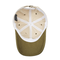 Gorra de Béisbol Vintage con Bloques de Color y Diseño de Frutas, Logotipo Bordado en 3D Personalizado, 6 Paneles, Algodón Jersey Transpirable, Ajustable, para Actividades al Aire Libre y Carreras