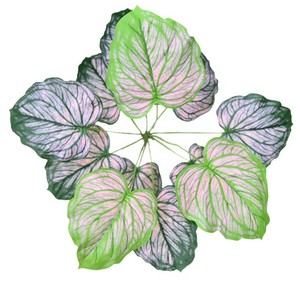 Plante artificielle Greenway en forme de feuille de papillon, 30cm-100cm, rose, en plastique et soie, pour décoration intérieure, style champêtre - Product Image 1