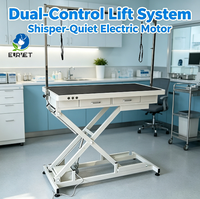 Table de toilettage électrique pour animaux de compagnie EURVET à double commande, équipement vétérinaire, mécanisme de levage robuste