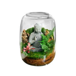 Hydro ponic Glass Desktop Moos Mikro landschaft <span class=keywords><strong>Terrarium</strong></span> Pflanzen topf Glas <span class=keywords><strong>Ornament</strong></span> für Home Office Dekoration Pflanze <span class=keywords><strong>Terrarium</strong></span> Vase - Product Image 2