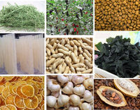 Déshydratation industrielle pour fruits et légumes / Sécheuse Machine de séchage des fruits Déshydrateur de fruits Machine de séchage des fruits