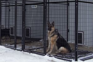 Groot 48 \ "L X 48 \" W X 72 \ "H Buiten Hondenkennel Ademende Gelaste Draadafsluiting Ijzeren Stalen Gaasmaterialen Dierenhuis - Product Image 6