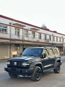 Tank 300 2024 330 3.0T V6 SUV 5 Porte 5 Posti, Auto Berlina in Vendita in Cina, Tank 300 Veicolo Usato - Product Image 2