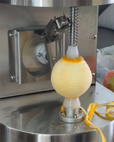 Kleine fruitenschiller, mini commerciële citrusenschiller, elektrische fruitenschilmachine voor sinaasappels en citroenen