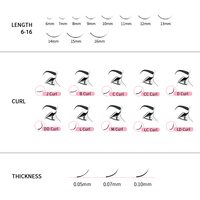 Extensions de cils de volume d'usine 2D 0.05 0.07 0.1MM noir rose bleu ventilateurs de cils préfabriqués tige courte Extensions de cils russes