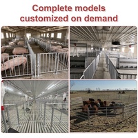Cage pour truies et porcs, galvanisée à chaud, équipement d'élevage robuste, système d'élevage porcin
