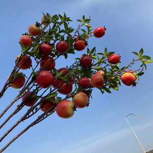 Ramas de Granada Artificiales Queyiyi de 84 cm, Rojas y Verdes, Fruta Decorativa para el Hogar, Accesorios de Fotografía - Product Image 3