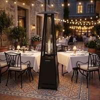 Poêle à granulés de bois pour patio extérieur moderne poêle à granulés pyramidal sans fumée non électrique poêle à granulés pour patio