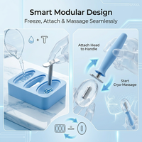 Glaçons en silicone de qualité alimentaire pour massage facial, outil de cryothérapie réutilisable, plateau à glaçons pour le visage, OEM ODM