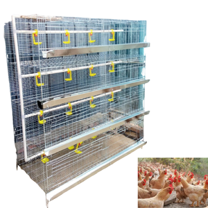 Jaula Automática para Cría de Pollitos con Cinta de Eliminación de Estiércol, Equipo Avícola Galvanizado - Product Image 1