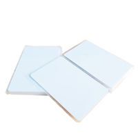 Tarjeta NFC de plástico en blanco de muestra gratis, tarjeta de tarjetas de visita NFC inteligente personalizada de 13,56 Mhz