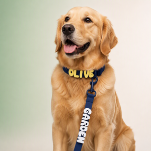 Set Collare e Guinzaglio <span class=keywords><strong>per</strong></span> <span class=keywords><strong>Cani</strong></span> Personalizzato, Charm <span class=keywords><strong>con</strong></span> Lettere Scorrevoli Fai-da-Te, Collare di Lusso Impermeabile <span class=keywords><strong>con</strong></span> Nome - Product Image 3