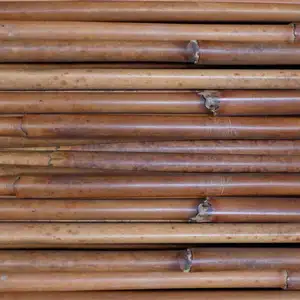 Wholesale Best Selling High Quality Agriculture Products Rattan Raw Red Malacca Wood Canes Stick 3m to 4m Made From SE ASIA