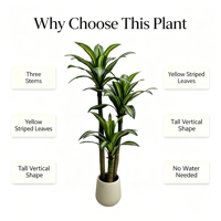 Pohon Dracaena Fragrans Buatan, Tanaman Jagung Berwarna-warni, Tanaman Kayu Brasil Palsu dalam Pot, Pohon Besi Dracaena Tiruan untuk Dekorasi Hotel