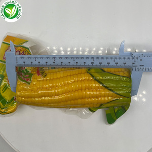 Nhà Máy Bán Hàng Trực Tiếp <span class=keywords><strong>Gmo</strong></span> Tươi Chân Không Đóng Gói Ngô Ngọt Đồ Ăn Nhẹ Ăn Ngay Lập Tức Mở Túi Ăn Ngô Bán Buôn - Product Image 3