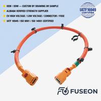 Harness Sensor Sistem Manajemen Baterai (BMS) yang Dapat Disesuaikan, Kabel Pengambil Sampel Baterai Lithium, Kabel Sinyal Penyimpanan Energi