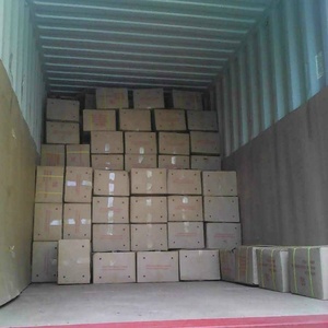 Сухой корень красного женьшеня, полный Корень красного женьшеня - Product Image 5