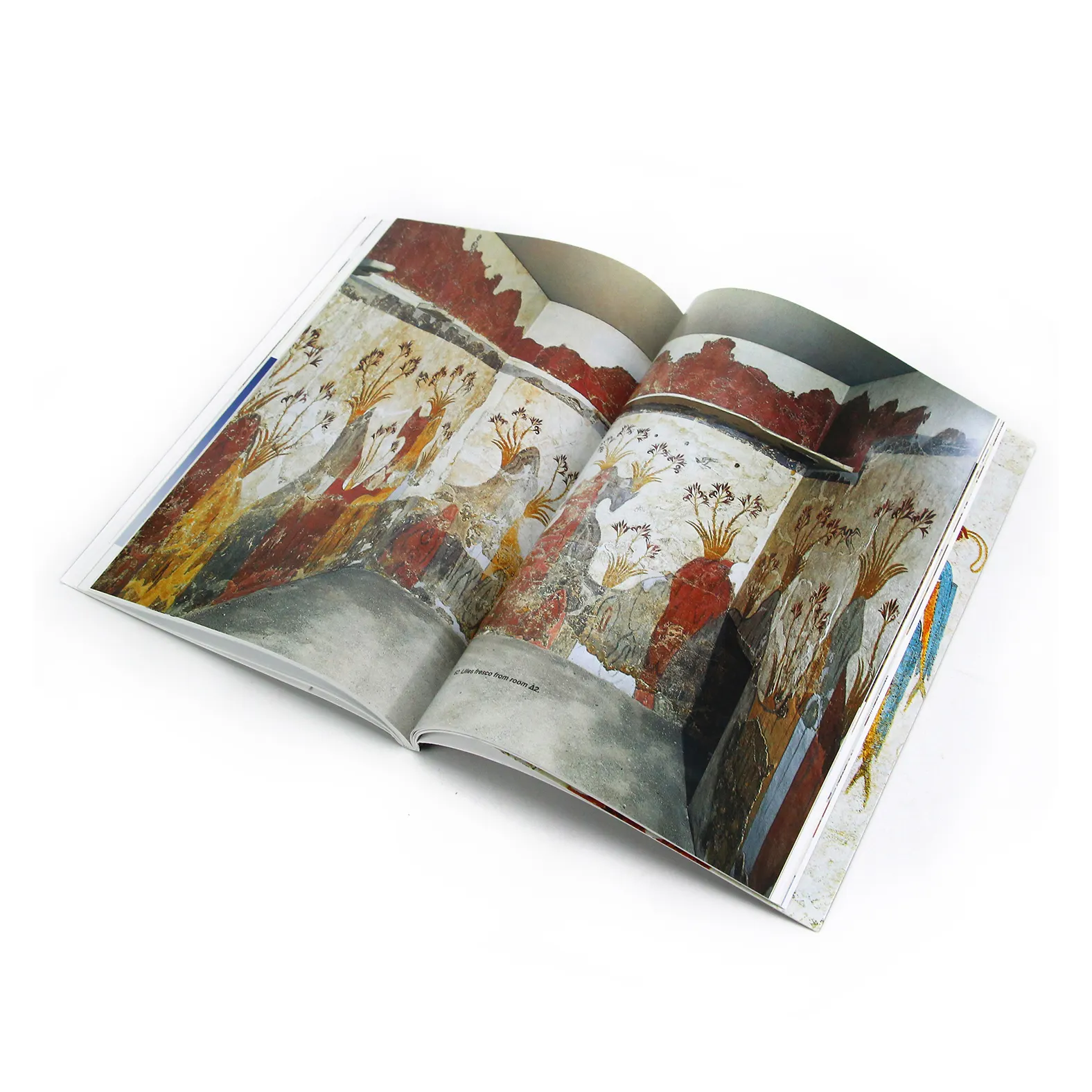 Personalizado impressão brilhante laminado booklet máquina opuscolorida chinês adulto revista