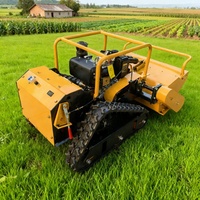 Cortacésped tipo Mayal con control remoto todoterreno certificado CE de 48V para campos de golf Nuevo lanzamiento