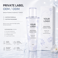 Sérum Visage à l'Acide Salicylique 250ml, Marque Privée, Étiquette Personnalisée, OEM, ODM, Essence Tonique, Soin de la Peau, Sérum Hydratant, Anti-Âge